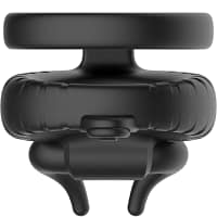 ARMONY – BULL’S PASION