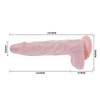 img_31189_c9ede4b46c344f9e04521545c8ffefdd_1.jpg BAILE – SUPER VIBRO