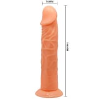 img_50290_6fc00dc8dbfaf7c1048323d31163e22b_1.jpg BAILE – VIVE REALISTIC