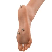 EXTREME TOYZ – PIPEDREAM