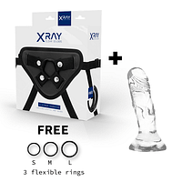 X RAY – HARNESS
