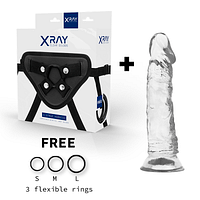 img_98146_58eed405b7e4ff3835fe5067347a6cd3_1.png X RAY – HARNESS