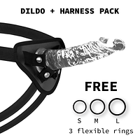 img_98148_875728632acf69628de4beff2b8e9b2b_1.png X RAY – HARNESS