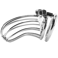 METAL HARD - BIRD CHASTITY RING CAGE