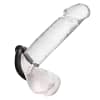 CALEXOTICS – ALPHA MUSCLE