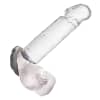 CALEXOTICS – ALPHA ERECT