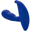 CALEXOTICS – ADMIRAL CURVED