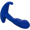 CALEXOTICS – ADMIRAL CURVED