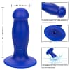 CALEXOTICS – ADMIRAL FIRST