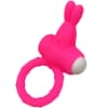 ARMONY – MS BUNNY