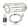METAL HARD - BIRD CHASTITY RING CAGE