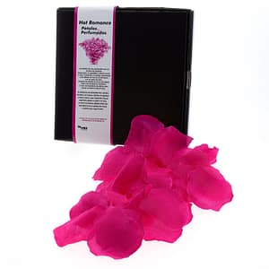 TALOKA – FUCHSIA PETALS