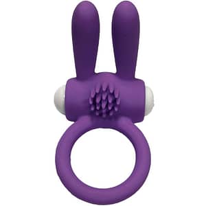ARMONY – MR BUNNY