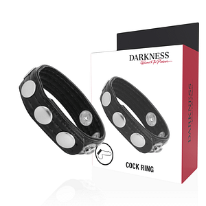 DARKNESS – LEATHER ERECTION