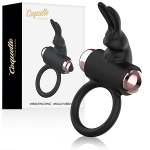 COQUETTE CHIC DESIRE –