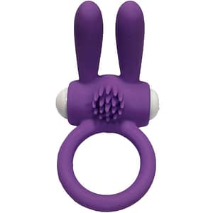 ARMONY – MR BUNNY