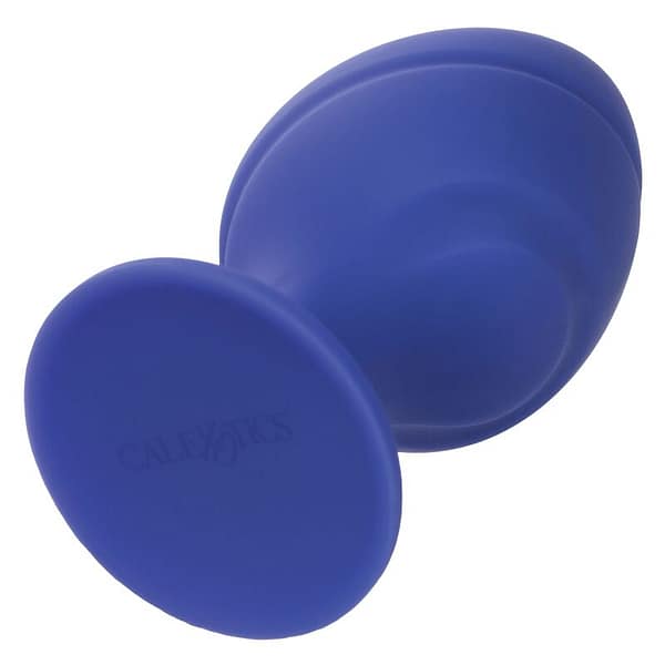 img_104832_468b95a1fe8e7939b091707bf7157a10_1.jpg CALEXOTICS – CHEEKY BUTTPLUG
