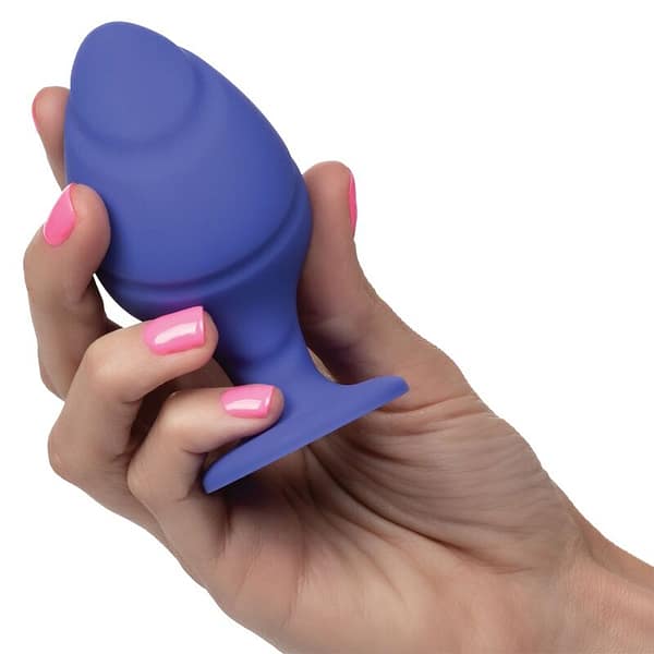img_104836_933a5ef15aa648c517e86502cbcd19af_1.jpg CALEXOTICS – CHEEKY BUTTPLUG