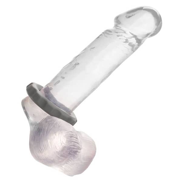 CALEXOTICS – ALPHA ERECT