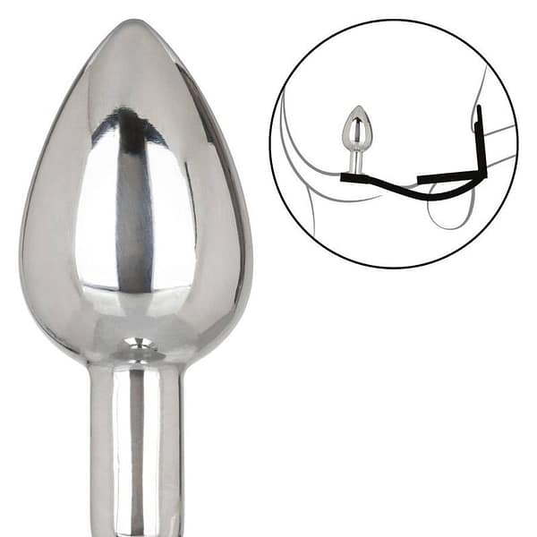 img_134370_13a0309388d1827a4d9a1c92241e2eb2_1.jpg CALEXOTICS – STAR FUCKER