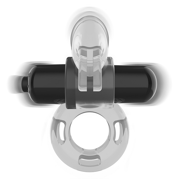 INTENSE – FRY TRANSPARENT