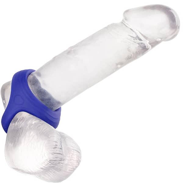 CALEXOTICS – ADMIRAL COCK
