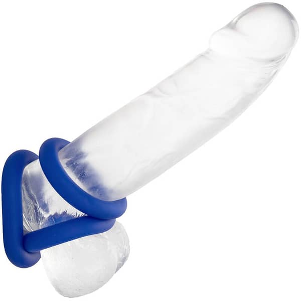 CALEXOTICS – ADMIRAL COCK