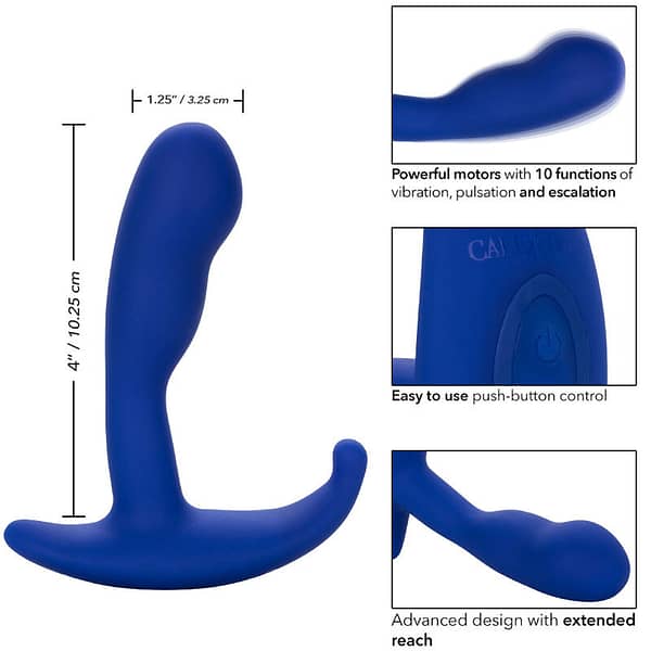 CALEXOTICS – ADMIRAL CURVED