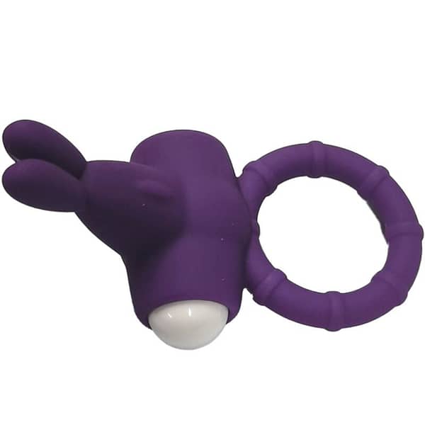 ARMONY – MS BUNNY