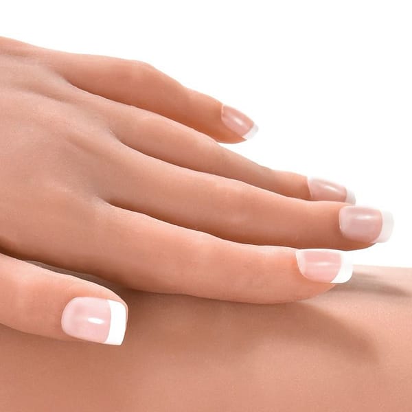 EXTREME TOYZ – PIPEDREAM