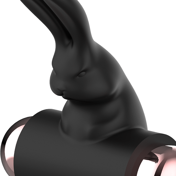 img_92678_f15b9b7ad5d42c85f129efa5da6d2f39_1.png COQUETTE CHIC DESIRE –