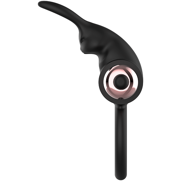 img_92679_66e78fa0bcd84f86510d811d217d621f_1.png COQUETTE CHIC DESIRE –