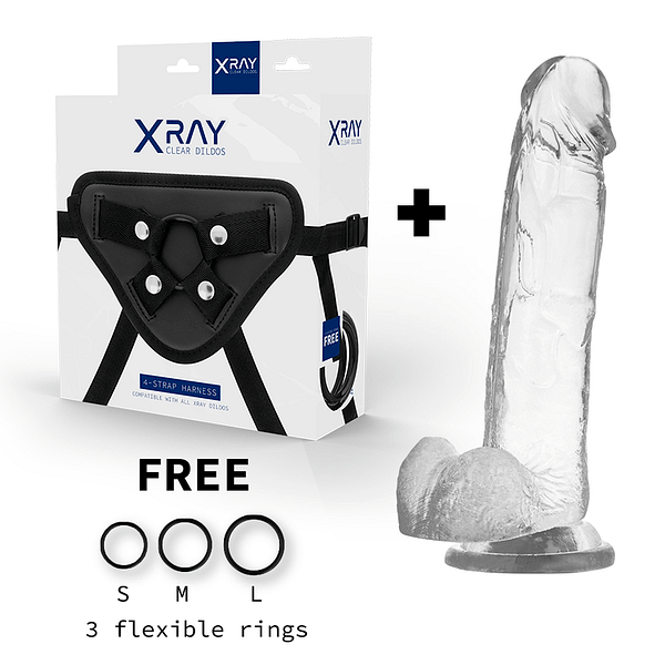 X RAY – HARNESS
