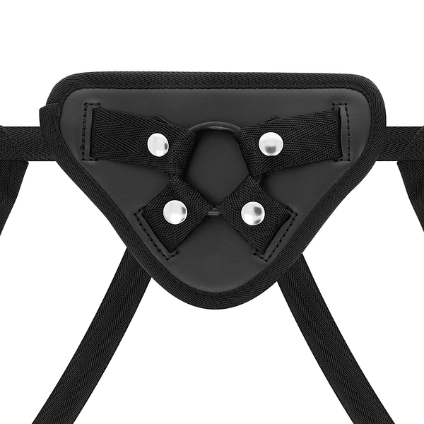 img_98141_b94b479204dd67e830b1eb51cff8c23a_1.png X RAY – HARNESS