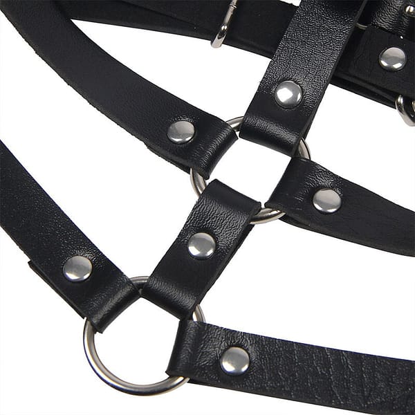 img_175173_0647d953e9fc02fed639f46c70052f81_1.jpg SUBBLIME - LEATHER RING CHEST HARNESS BLACK ONE SIZE