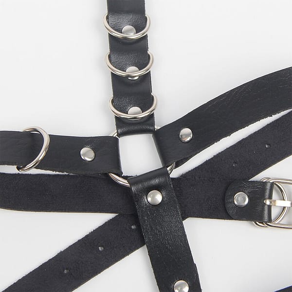 img_175188_7a204b907a5b4df83e5fee630fe45a72_1.jpg SUBBLIME - GARTER HARNESS WITH RINGS ONE SIZE