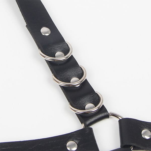 img_175189_c3357e69e61792c348aed6dfd3d9b1ea_1.jpg SUBBLIME - GARTER HARNESS WITH RINGS ONE SIZE