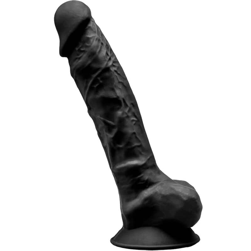 SILEXD – MODEL 1
